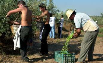 El programa de Fomento del Empleo Agrario (FFEA) contará en 2022 con 185,5 millones que aportará el Gobierno central, 62,6 millones de la Junta y 20,8 millones las diputaciones./ EFE