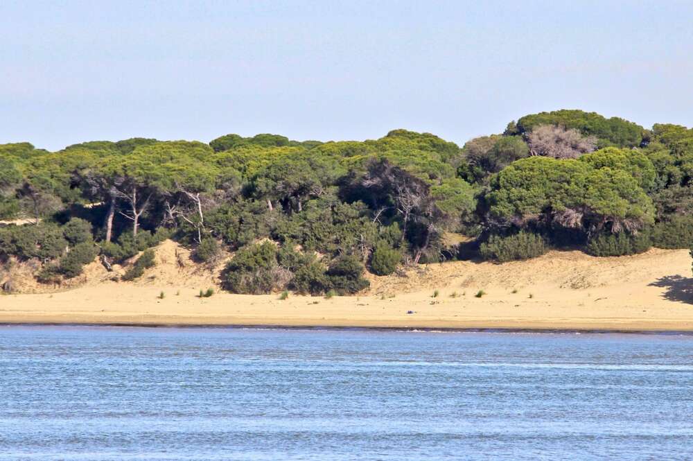 Parque nacional y natural de Doñana.