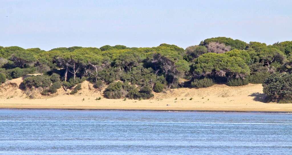 Parque nacional y natural de Doñana.