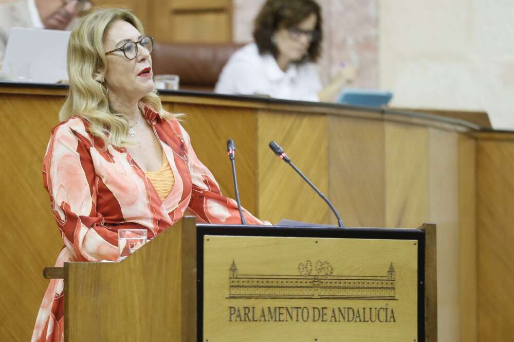 Carolina España, consejera de Hacienda y Fondos Europeos, en el Parlamento, donde defenderá hoy el Proyecto de Ley de Presupuestos.