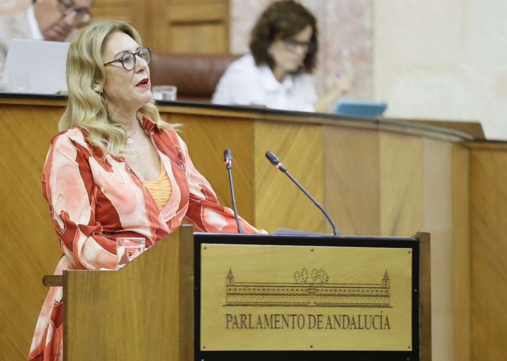 Carolina España, consejera de Hacienda y Fondos Europeos, en el Parlamento, donde defenderá hoy el Proyecto de Ley de Presupuestos.