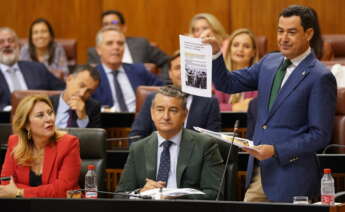 El presidente de la Junta de Andalucía, Juanma Moreno, durante la sesión de control de este jueves protagonizada por el debate sobre los regadíos en el entorno de Doñana.