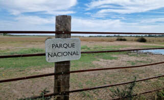 Vista del Parque Nacional de Doñana desde la localidad de Almonte (Huelva). EFE/ Laura Ramírez