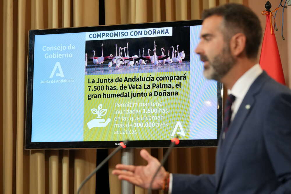 El consejero de Sostenibilidad y portavoz del Ejecutivo autonómico, Ramón Fernández-Pacheco, durante la rueda de prensa posterior al Consejo de Gobierno de este martes.