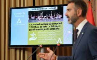 El consejero de Sostenibilidad y portavoz del Ejecutivo autonómico, Ramón Fernández-Pacheco, durante la rueda de prensa posterior al Consejo de Gobierno de este martes.