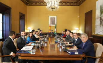 Reunión del Consejo de Gobierno de la Junta de Andalucía, en el Palacio de San Telmo, este martes, presidido por Juan Manuel Moreno.