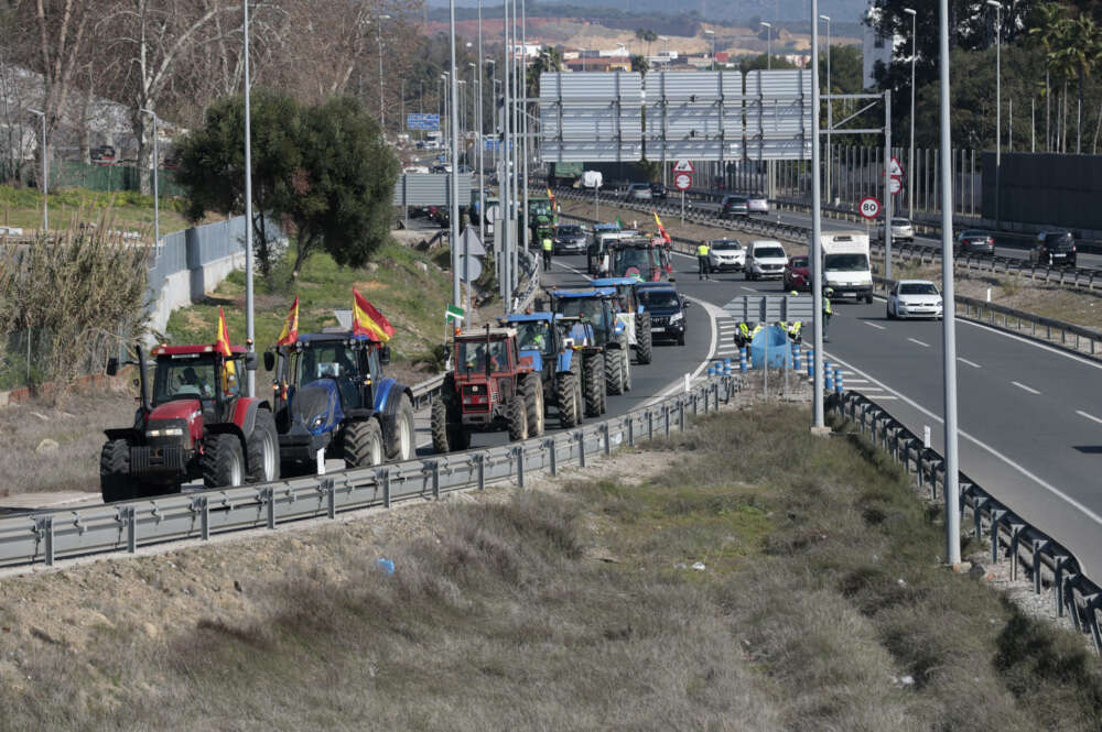 Agricultores durante la marcha realizada con sus tractores salen de la autovía A-7 para circular por carreteras secundarias a la altura del término municipal de Los Barrios (Cádiz). EFE/A.Carrasco Ragel.