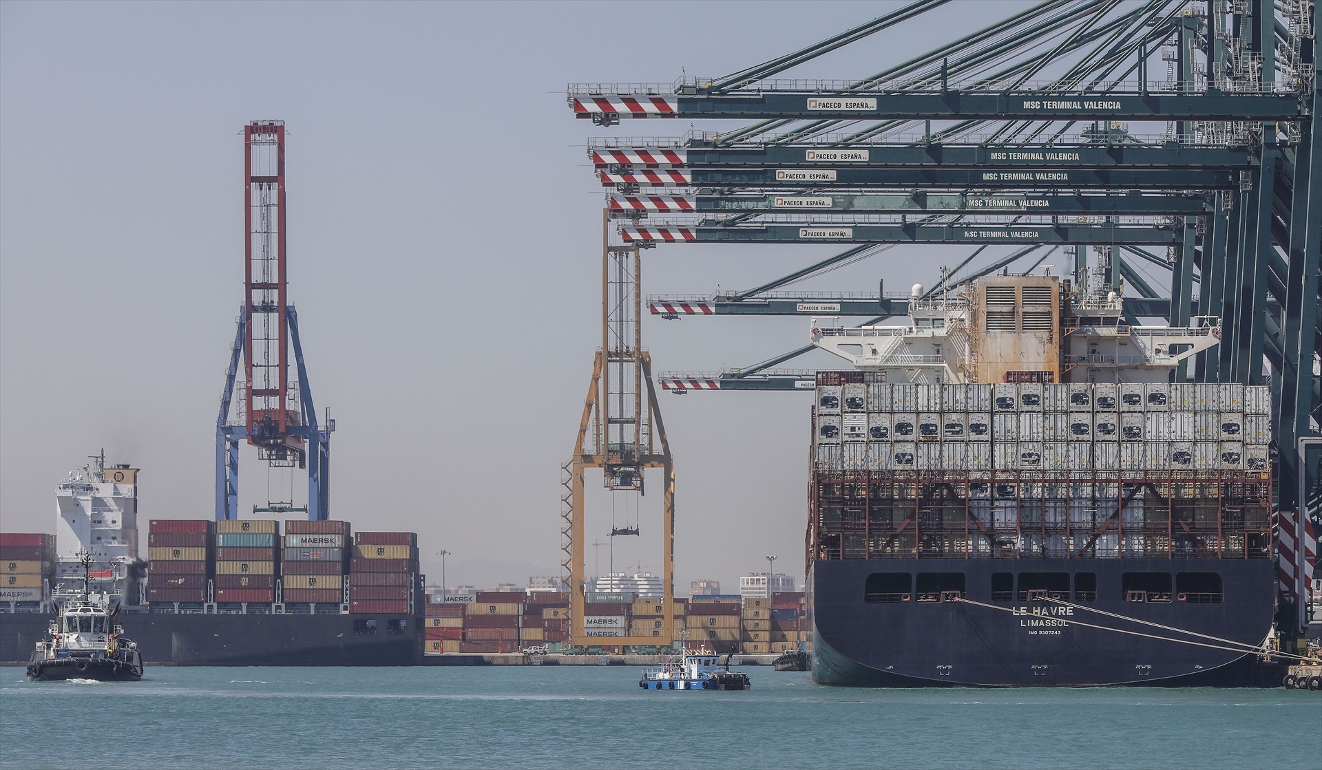 Un buque portacontenedores de MSC, en su llegada al puerto de Valencia.