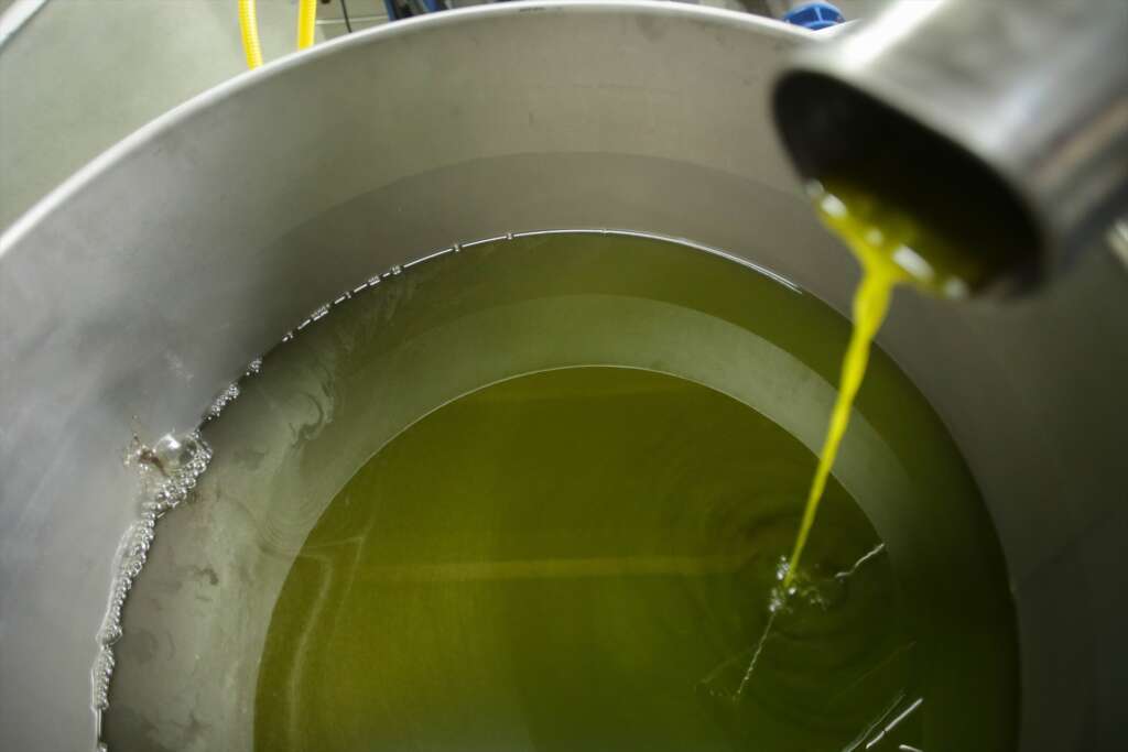 aceite de oliva upa 