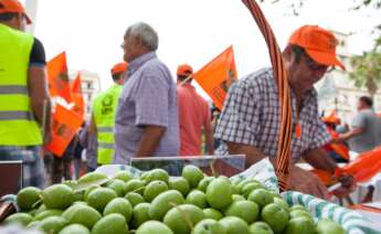 Protesta de productores de aceituna de mesa en Sevilla en 2018.