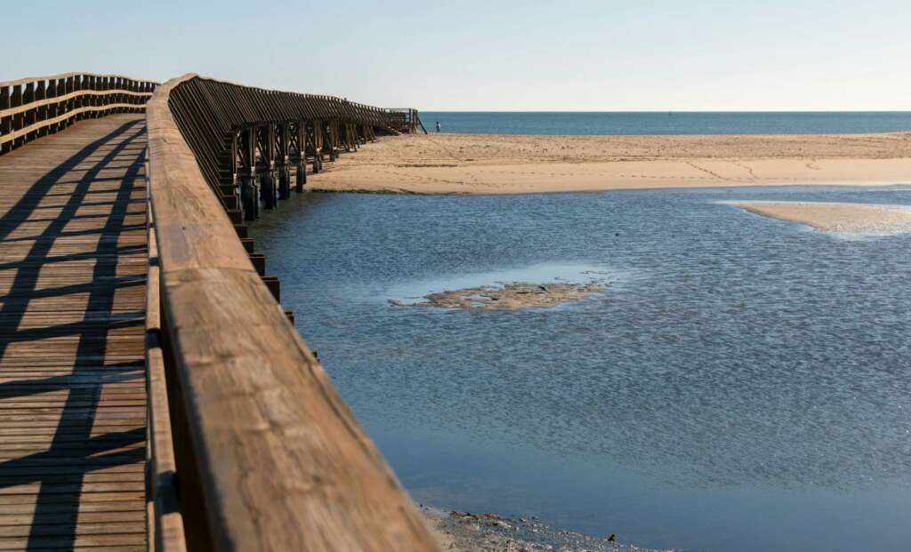La gestión del agua en las empresas andaluzas del Atlas se presenta como un reto en un entorno de sequía 