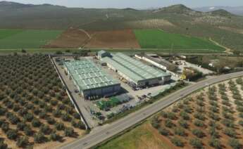 Instalaciones de Treico en Puente Genil (Córdoba)