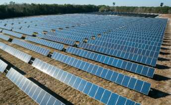 Placas solares. Foto: Freepik.