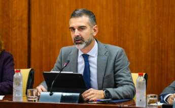El consejero de Agricultura, Pesca, Agua y Desarrollo Rural de Andalucía, Ramón Fernández-Pacheco.