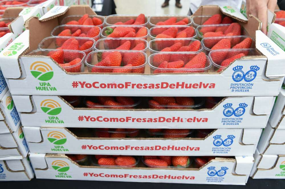 Varias cajas con fresas durante el reparto de tarrinas de fresa por parte de la Unión de Pequeños Agricultores y Ganaderos (UPA) en Madrid.