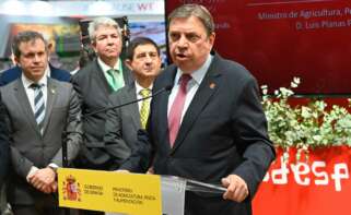 El ministro de Agricultura, Pesca y Alimentación, Luis Planas, durante su intervención en la inauguración de Expoliva.