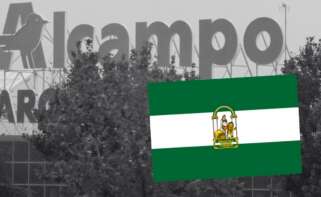 Decisión de Alcampo