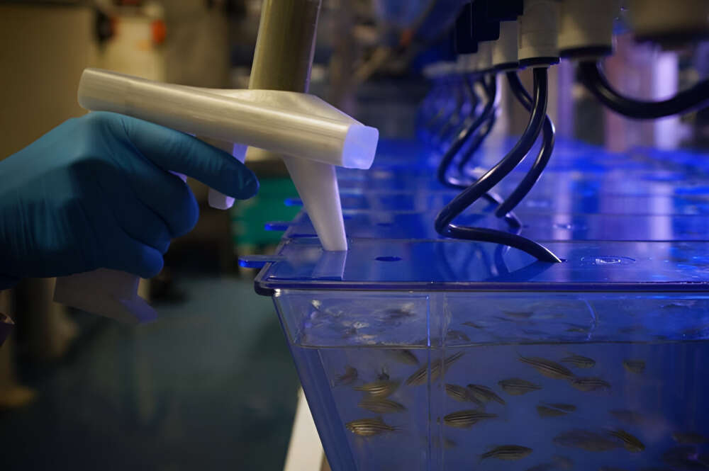 Instalaciones de Biobide, empresa del grupo Biat.