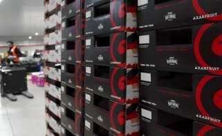 Cajas de Axarfuit.