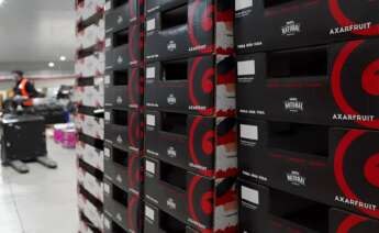 Cajas de Axarfuit.