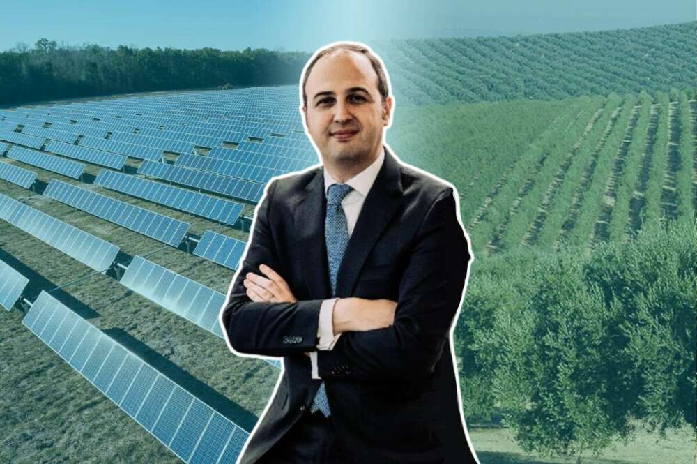 José Núñez, exdirector financiero de Greening que ha pasado a formar parte de Innoliva
