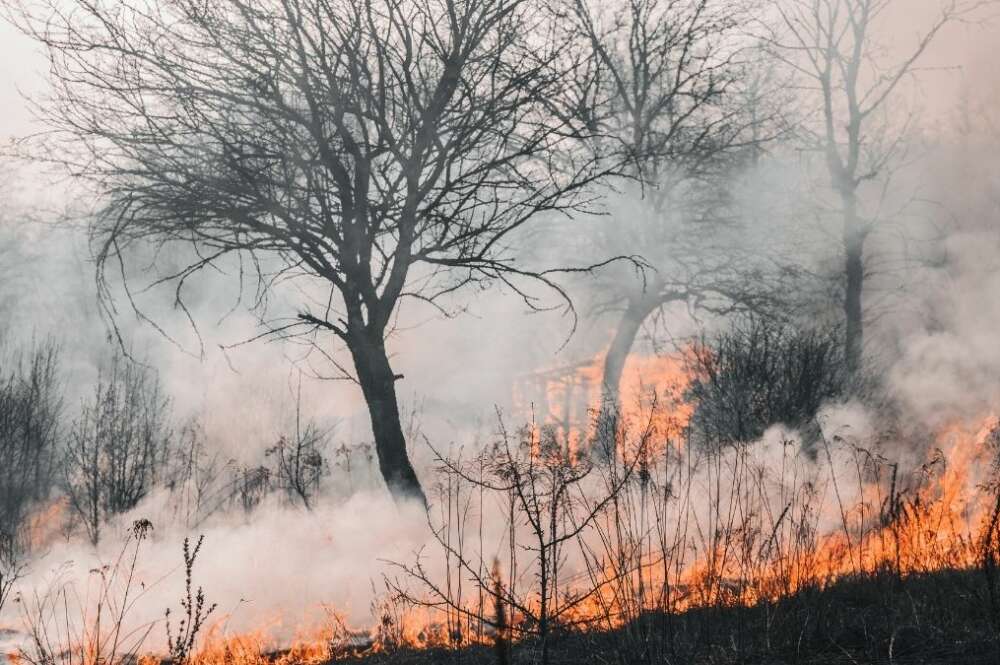Incendios en Andalucía