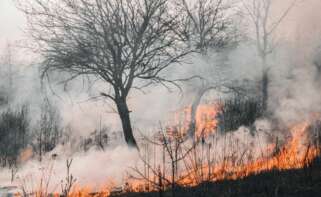 Incendios en Andalucía