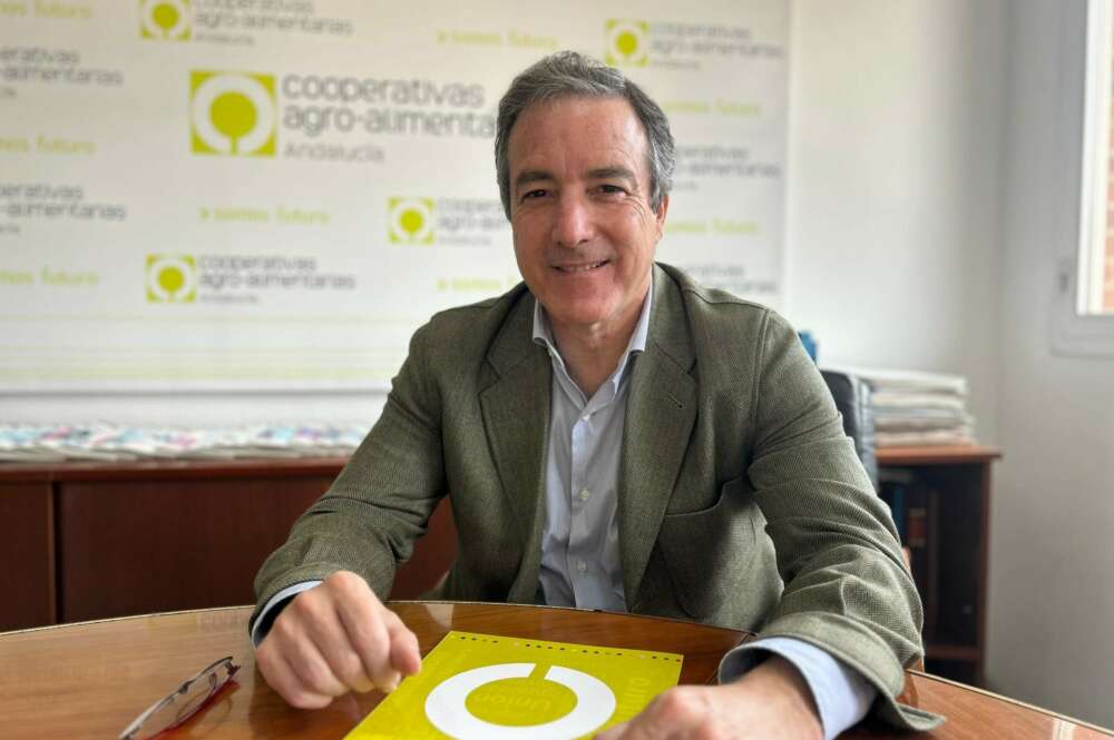 Jaime Martínez-Conradi, director general de Cooperativas Agroalimentarias de Andalucía.