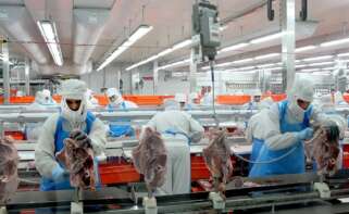 Trabajadores de Faccsa-Prolongo.