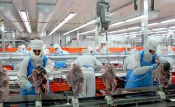 Trabajadores de Faccsa-Prolongo.