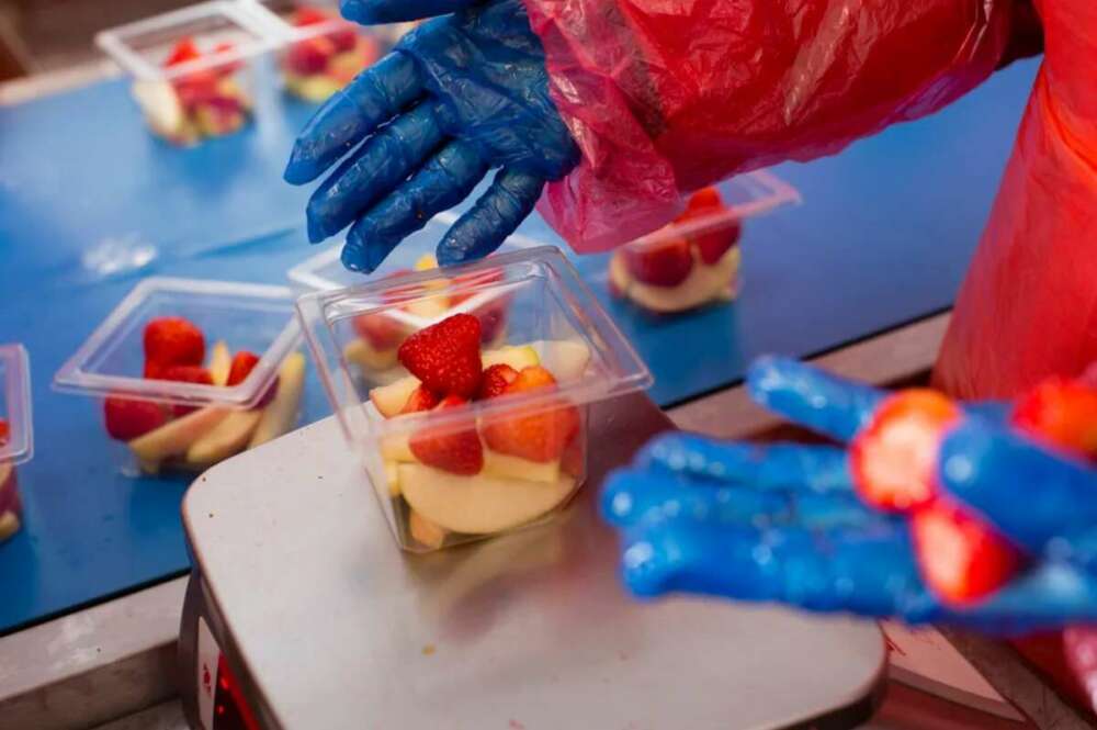 Operario de BerryWorld trabaja con fresas. Imagen: AgroBerries