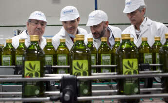 Fábrica de Acesur (Coosur) en Dos Hermanas, Sevilla.