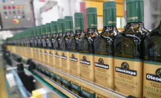 Producción de aceite de oliva de Oleoestepa