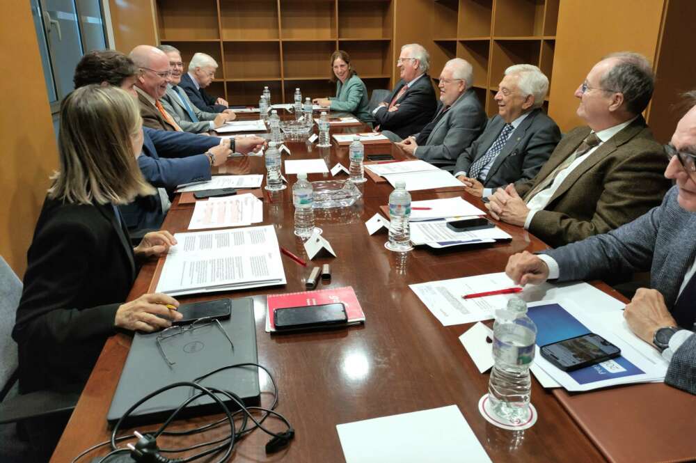 Pleno del Consejo Andaluz de Cámaras celebrado este martes, en el que se ha advertido la saturación de la red eléctrica.