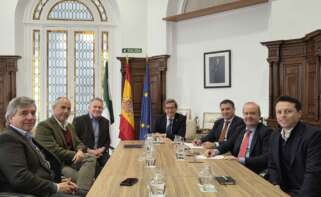 Reunión mantenida por el consejero de Industria, Energía y Minas, Jorge Paradela, con los nuevos propietarios de la mina de Cobre Las Cruces, Resource Capital Funds (RCF). Foto: Junta de Andalucía.