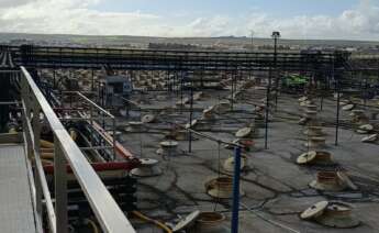 Depósitos de fermentación de las aceitunas de Agrosevilla.