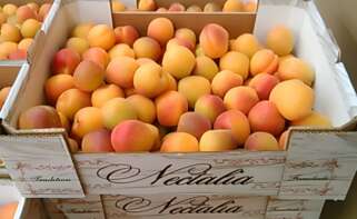 Productos de Nectalia, una de las empresas sancionadas por la Agencia de Información y Control Alimentarios, dependiente del Ministerio de Agricultura.