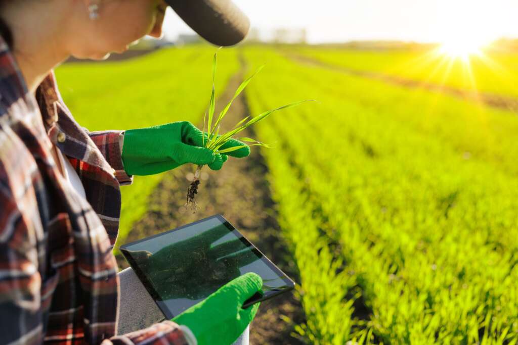 AgroSmart Tech Andalucía: sembrar innovación para cosechar futuro en el campo