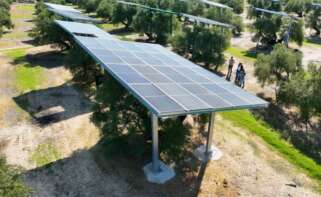 Modelo de planta fotovoltaica desarrollada por Acesur y Greening.