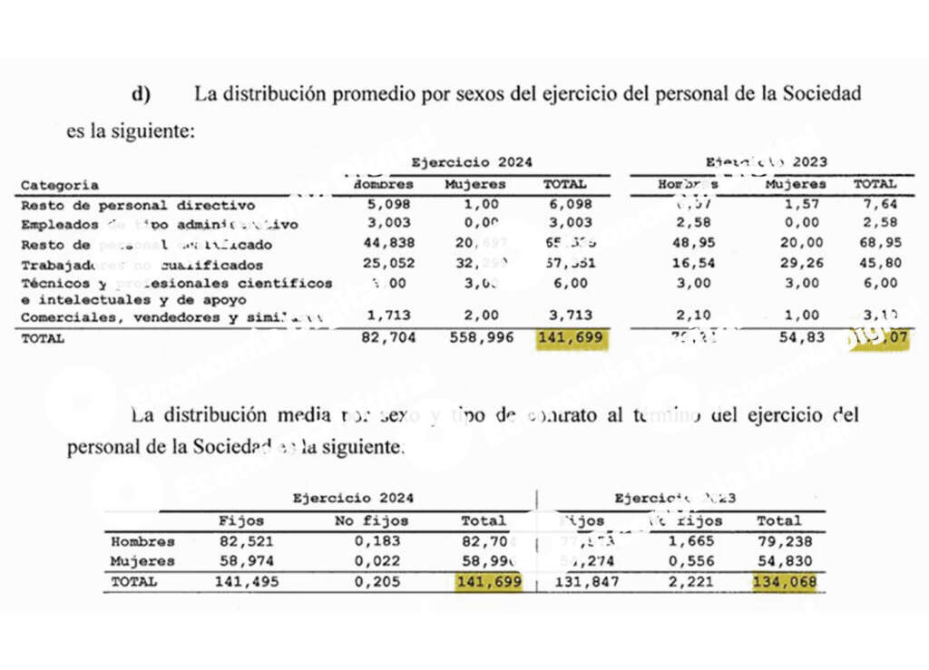 cuentas anuales Grisoma Hotelera 2024