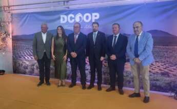 La cooperativa amplía su capacidad de producción para responder al crecimiento del aceite de oliva en la región extremeña