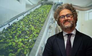 Francisco Escalante, CEO de AG Olives.
