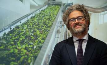 Francisco Escalante, CEO de AG Olives.