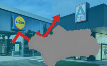 Tiendas de Lidl y Aldi.