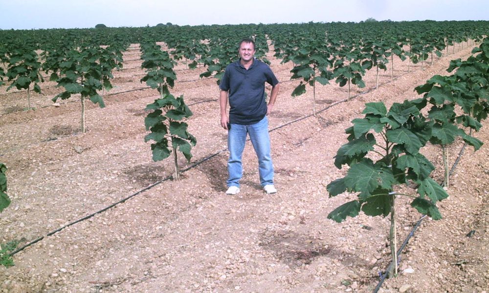 Details 48 que árboles se pueden plantar en galicia