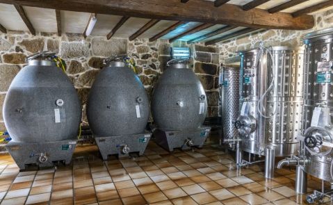 FAMILIA TORRES Pazo Torre Penelas bodega