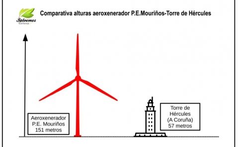 muiñovstorrehercules