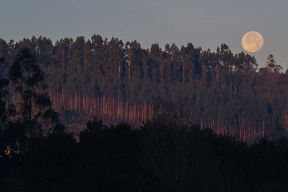 Rural gallego