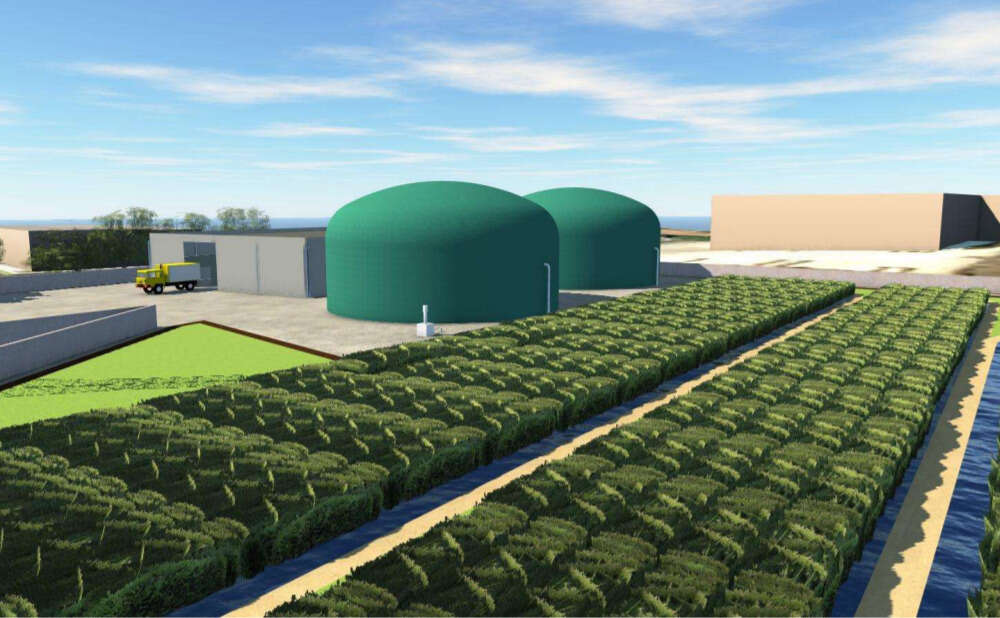 Lence, Norvento y Agroamb impulsan una planta de biogás de 7,5 millones en Lugo