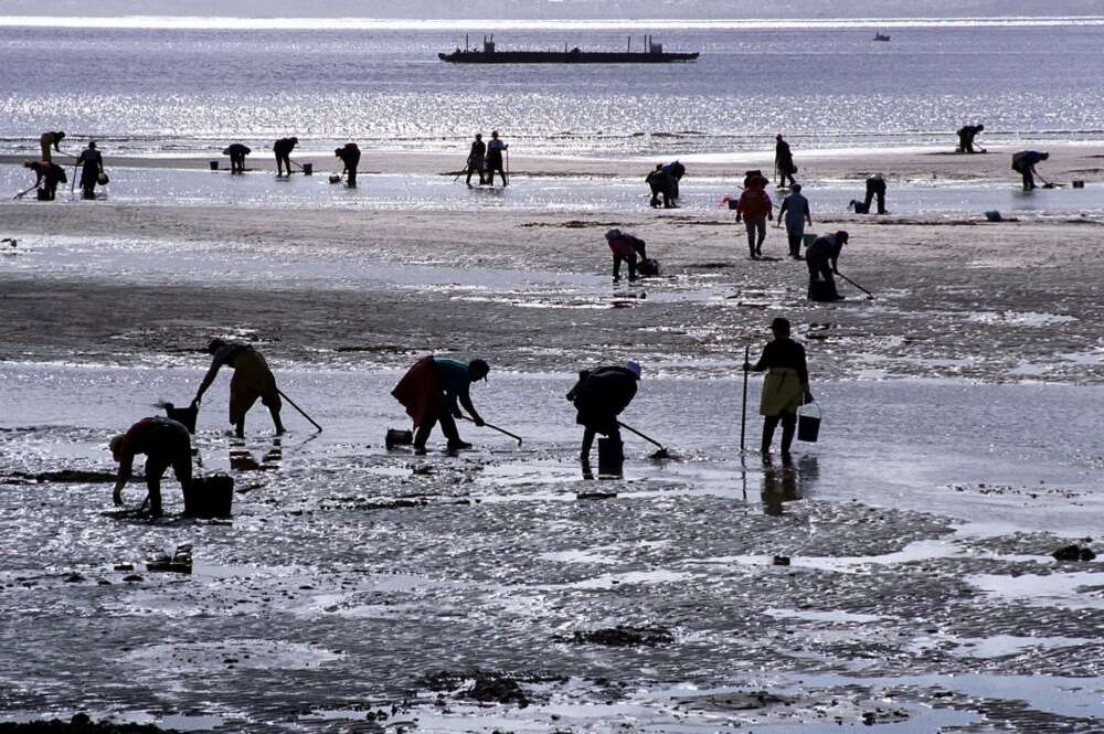 Mariscadoras trabajando. Foto: Xunta de Galicia